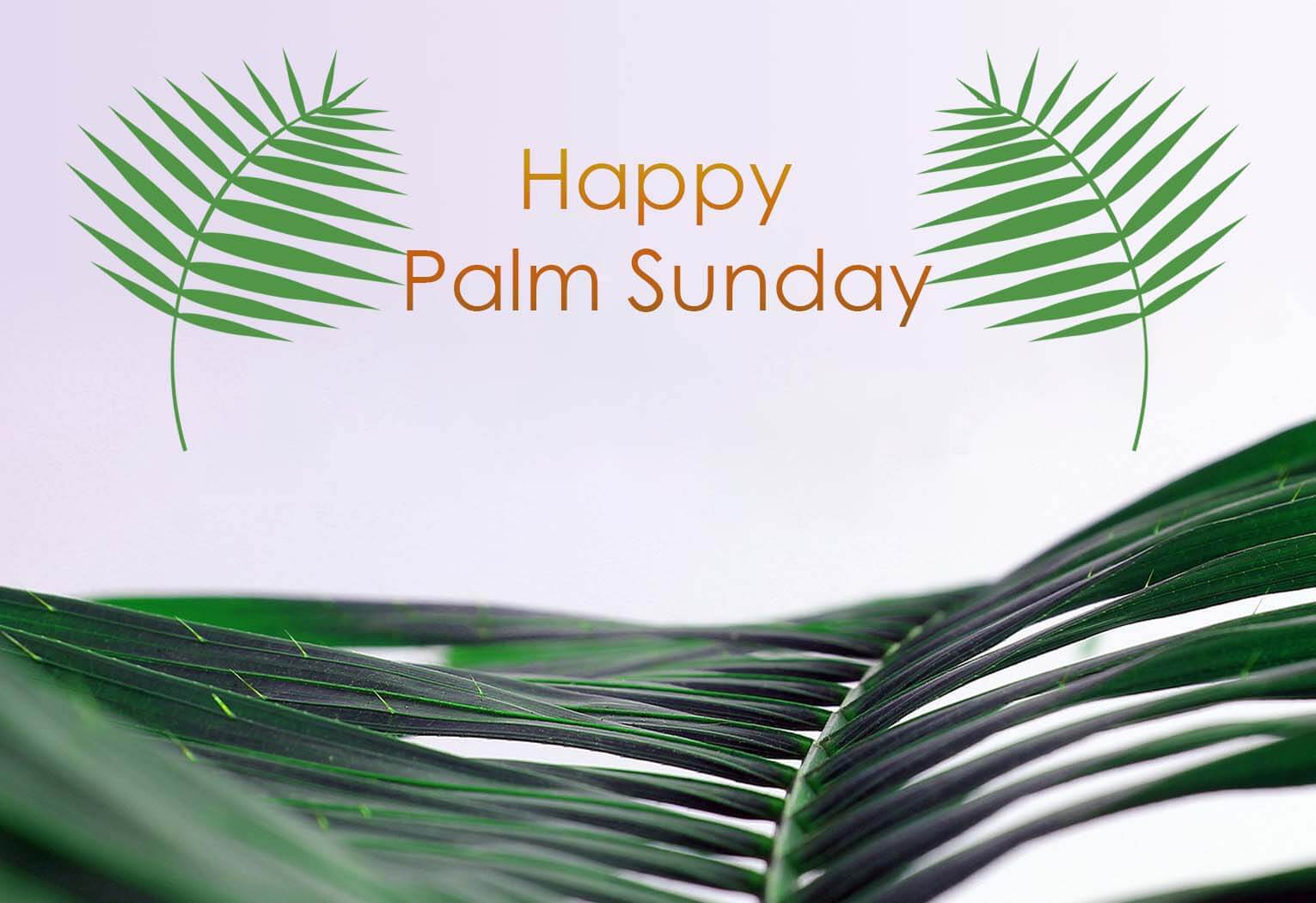 happy palm sunday 2023 images
